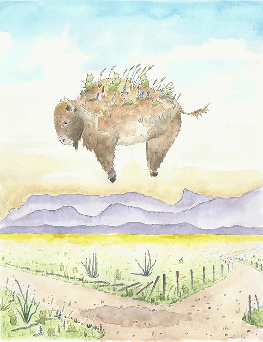 SEASONAL BISON - SUMMER (WEST TEXAS) by Emily Galusha