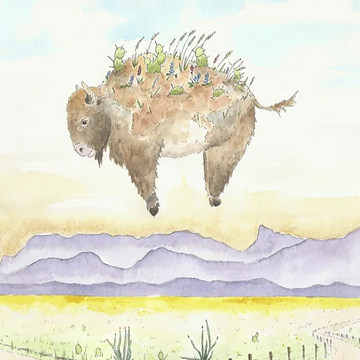 SEASONAL BISON - SUMMER (WEST TEXAS) by Emily Galusha