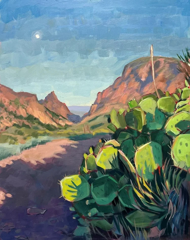 A VIEW FROM TERLINGUA by Sari Shryack
