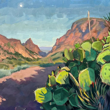 A VIEW FROM TERLINGUA by Sari Shryack