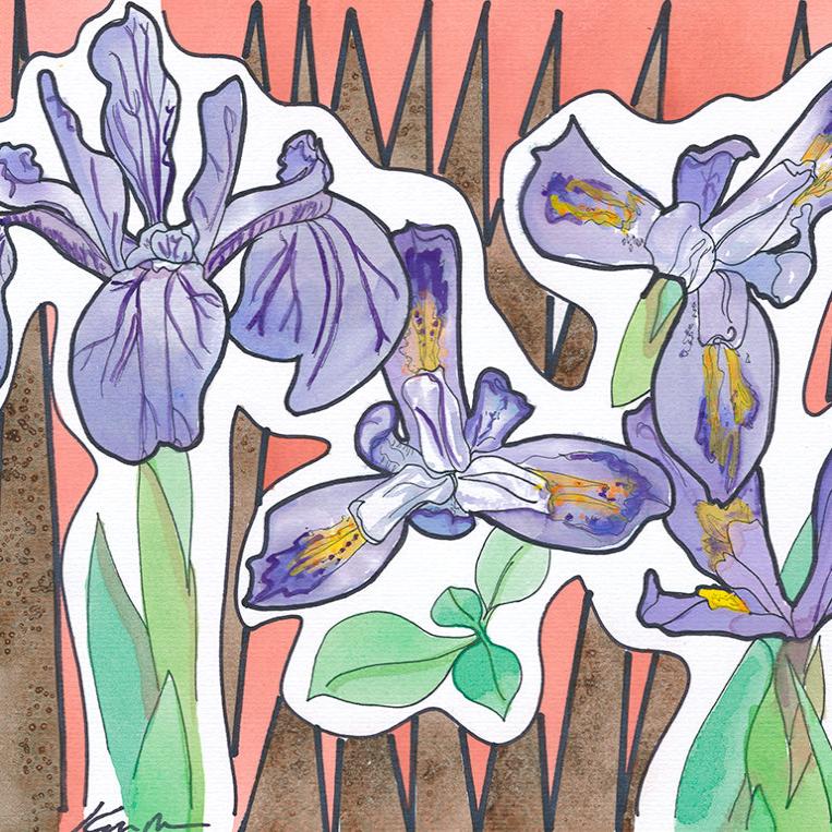 DWARF LAKE IRIS by Katie Chance