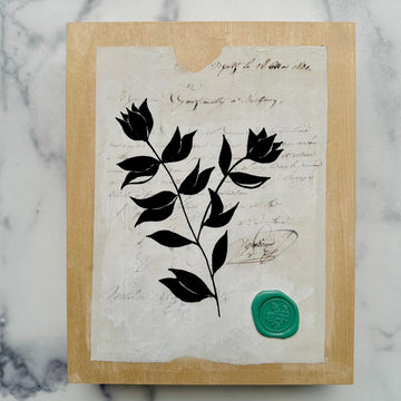 BOTANICAL LETTER FROM THE 1800'S by Yasmin Youssef