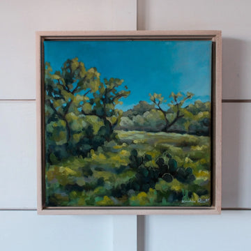 IN THE HILL COUNTRY by Kandice Pierce