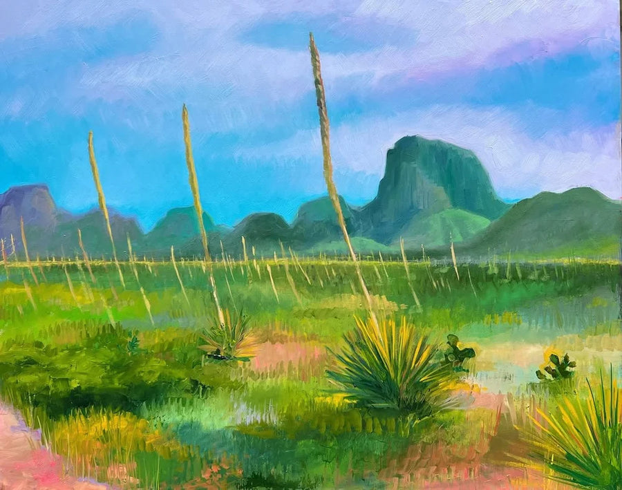 INTO THE CHISOS BASIN by Sari Shryack