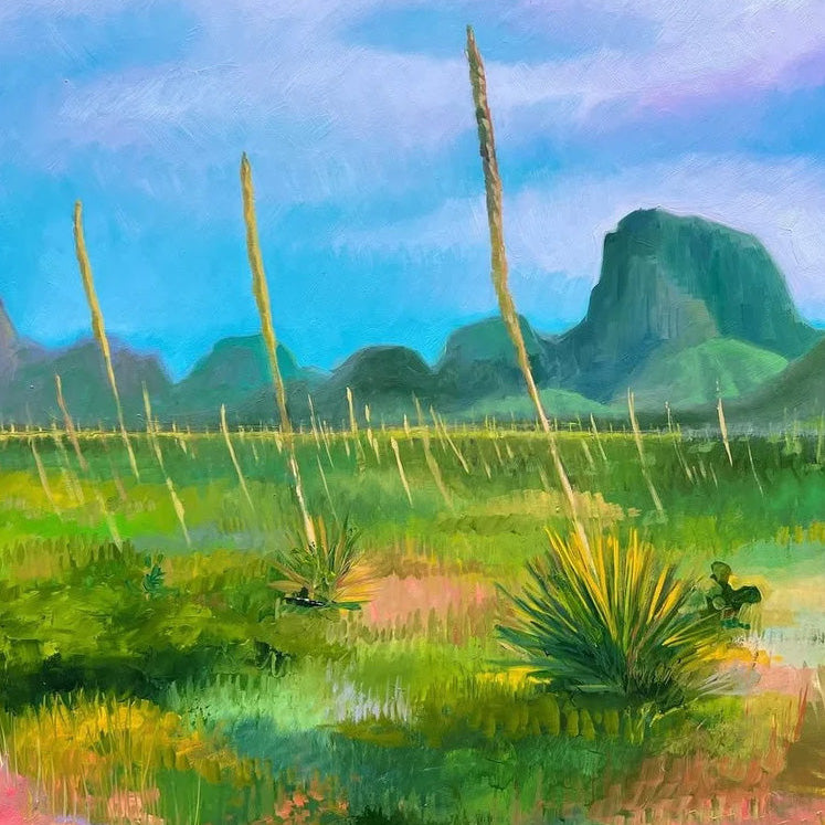 INTO THE CHISOS BASIN by Sari Shryack