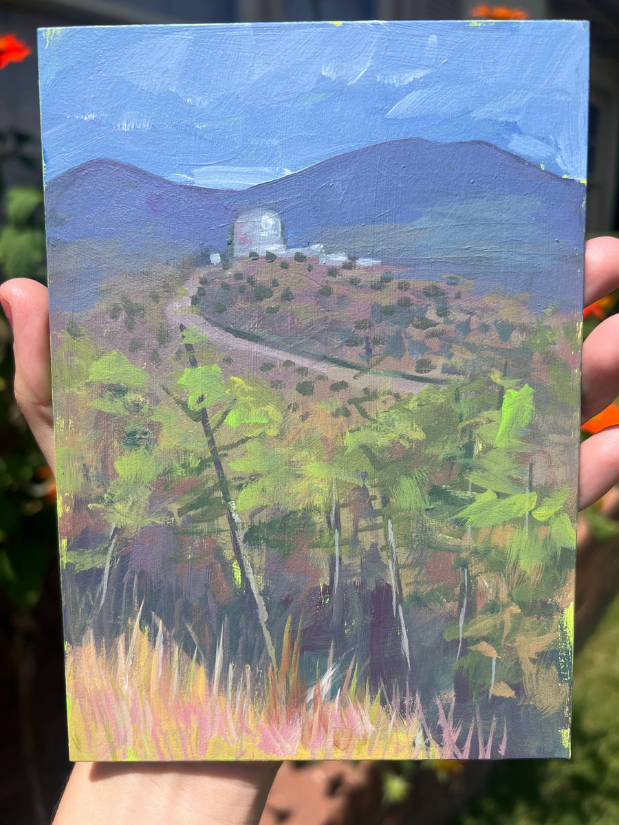 MCDONALD OBSERVATORY TRAIL by Sari Shryack