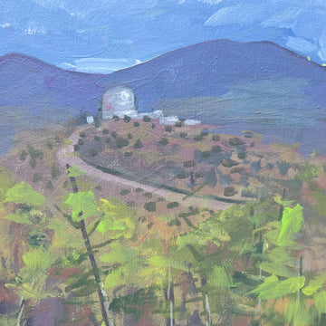 MCDONALD OBSERVATORY TRAIL by Sari Shryack