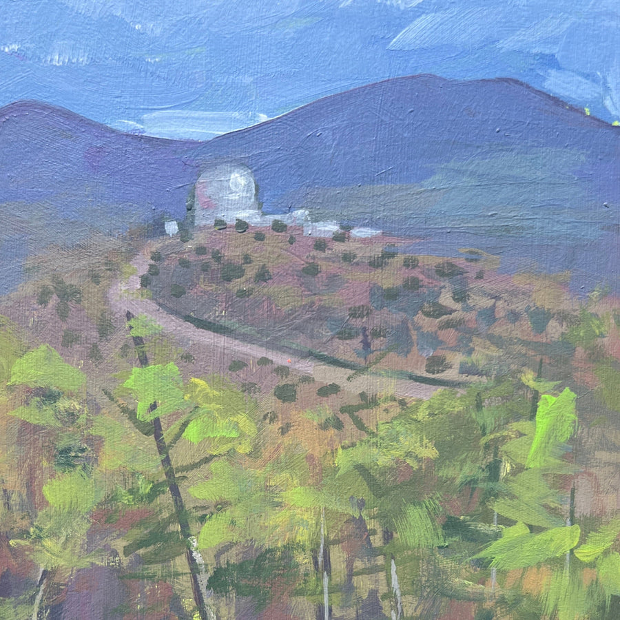 MCDONALD OBSERVATORY TRAIL by Sari Shryack