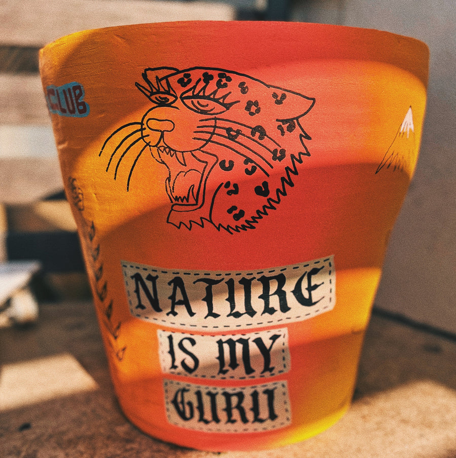 PARTY PLANTER by Bode Robinson