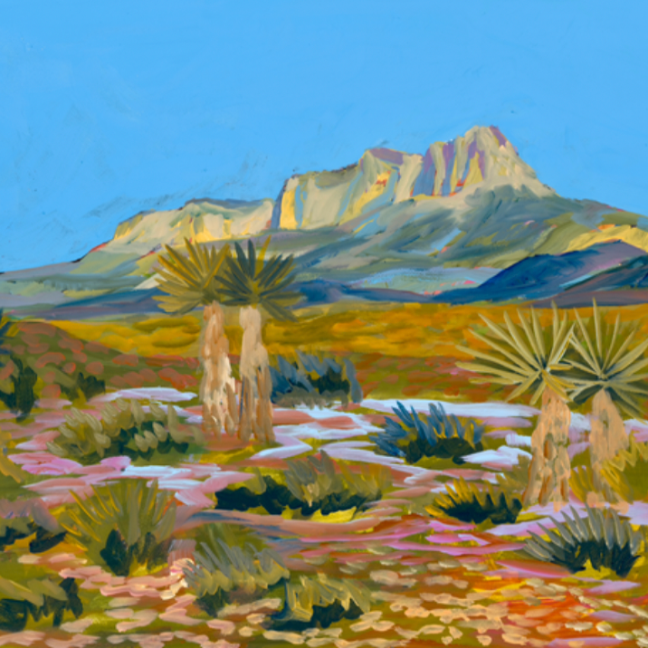 GUADALUPE MOUNTAINS by El Baker