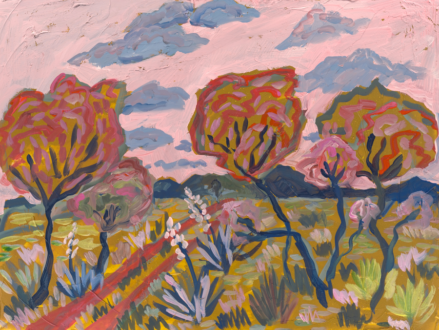 PINK COUNTRY by El Baker