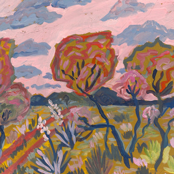 PINK COUNTRY by El Baker