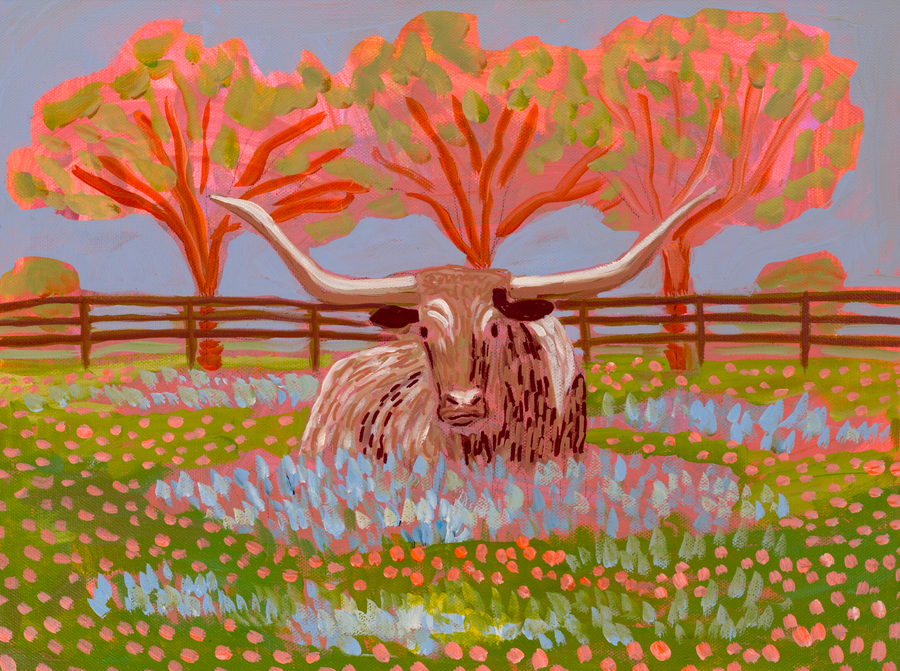PRETTY LITTLE  LONGHORN by El Baker