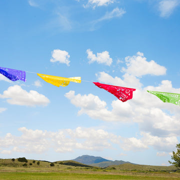 PAPEL PICADO by Jana Cantua