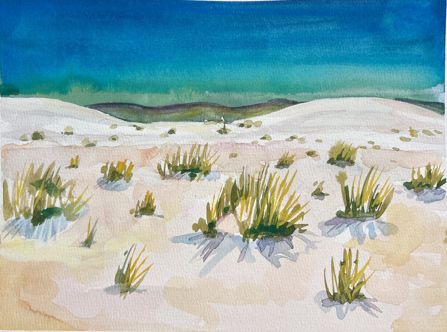 WHITE SANDS STUDY by Sari Shryack