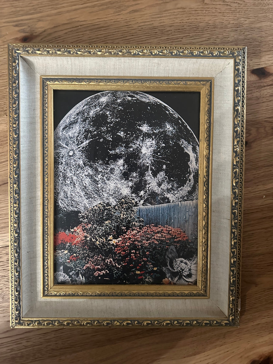 GARDEN BY THE MOON by Eryn Brooke