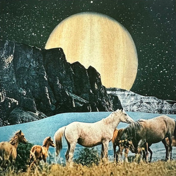 WILD HORSES by Eryn Brooke