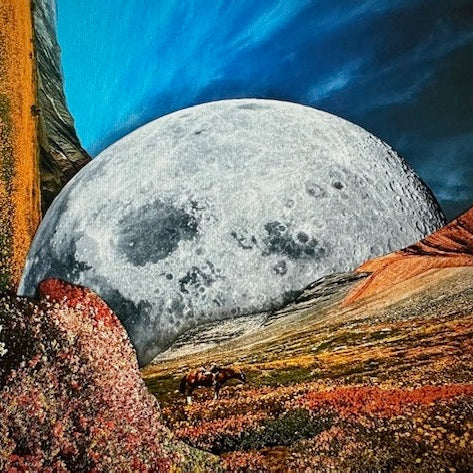 LONE RIDE by Eryn Brooke